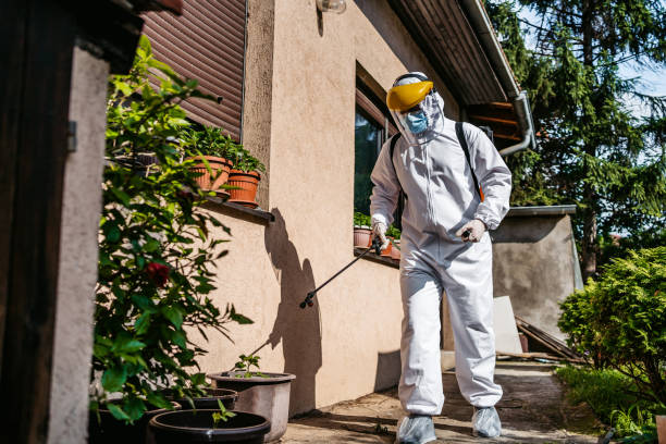 Pest Prevention Services in Cottonwood Shores, TX